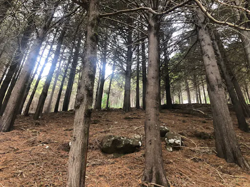 Full-day hiking tour of Maderia’s third-highest peak, Pico do Arieiro