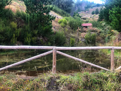 Full-day hiking tour of Maderia’s third-highest peak, Pico do Arieiro