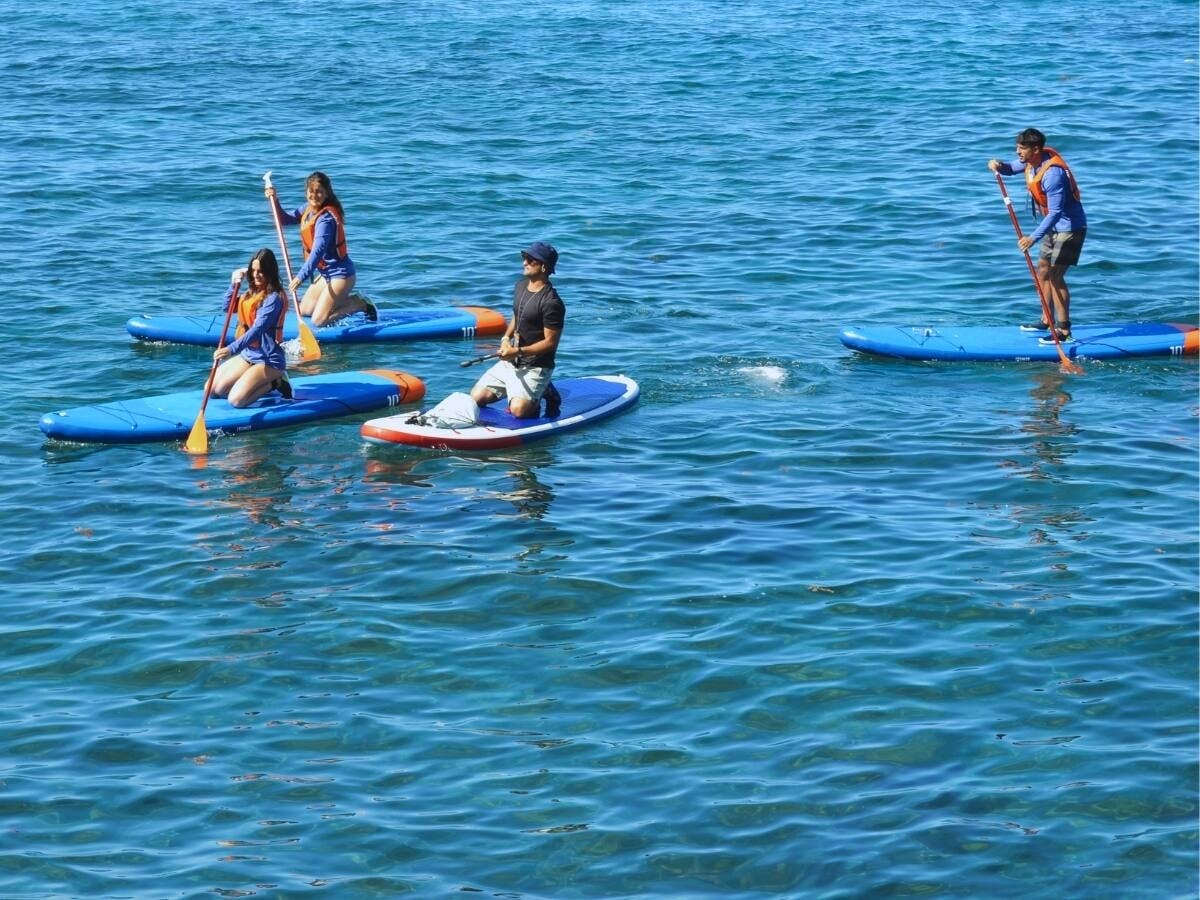 Stand-up paddle-boarding tour around Caleta’s beaches, in Tenerife