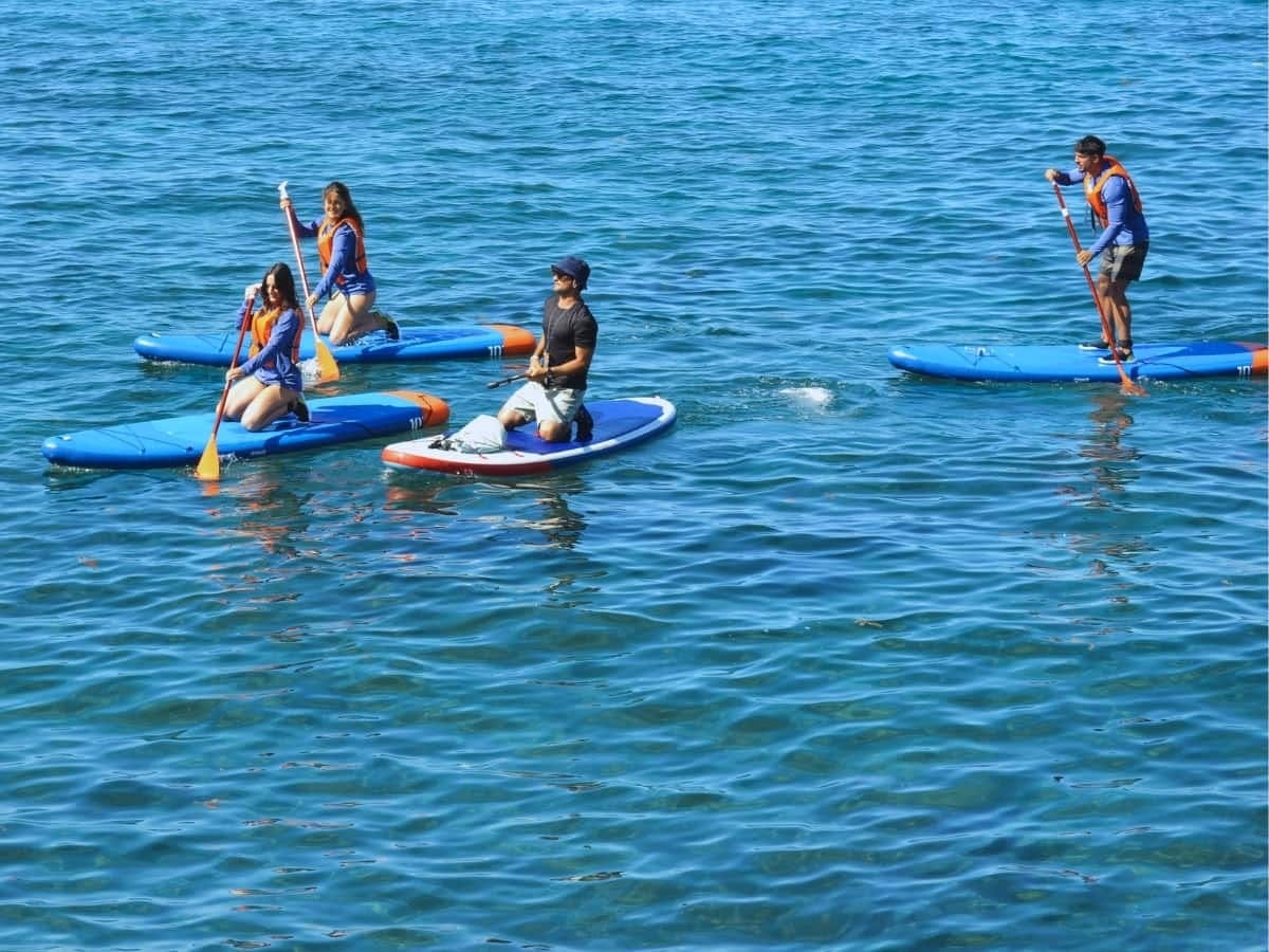 Stand-up paddle-boarding tour around Caleta’s beaches, in Tenerife