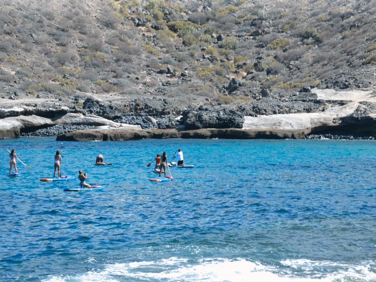 Stand-up paddle-boarding tour around Caleta’s beaches, in Tenerife