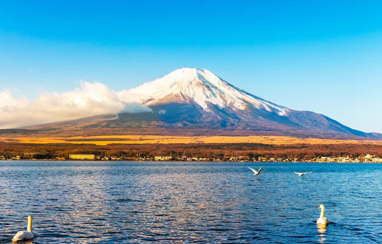 1-day tour to Mt. Fuji, Lake Kawaguchi, Yamanaka and Onsen