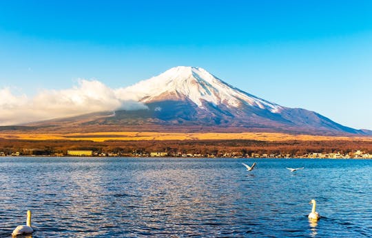 Excursión de 1 día al monte Fuji, lago Kawaguchi, Yamanaka y Onsen