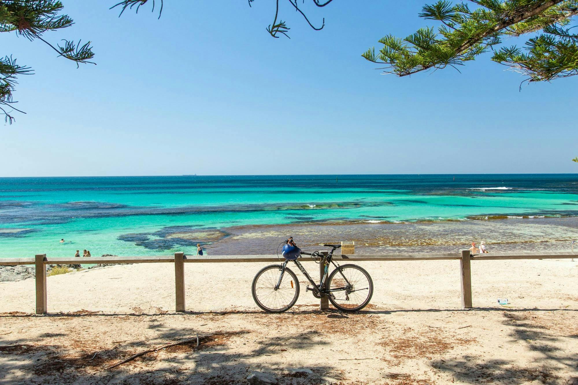 Excursión de un día por Perth con crucero por el río Swan y visita a la isla Rottnest