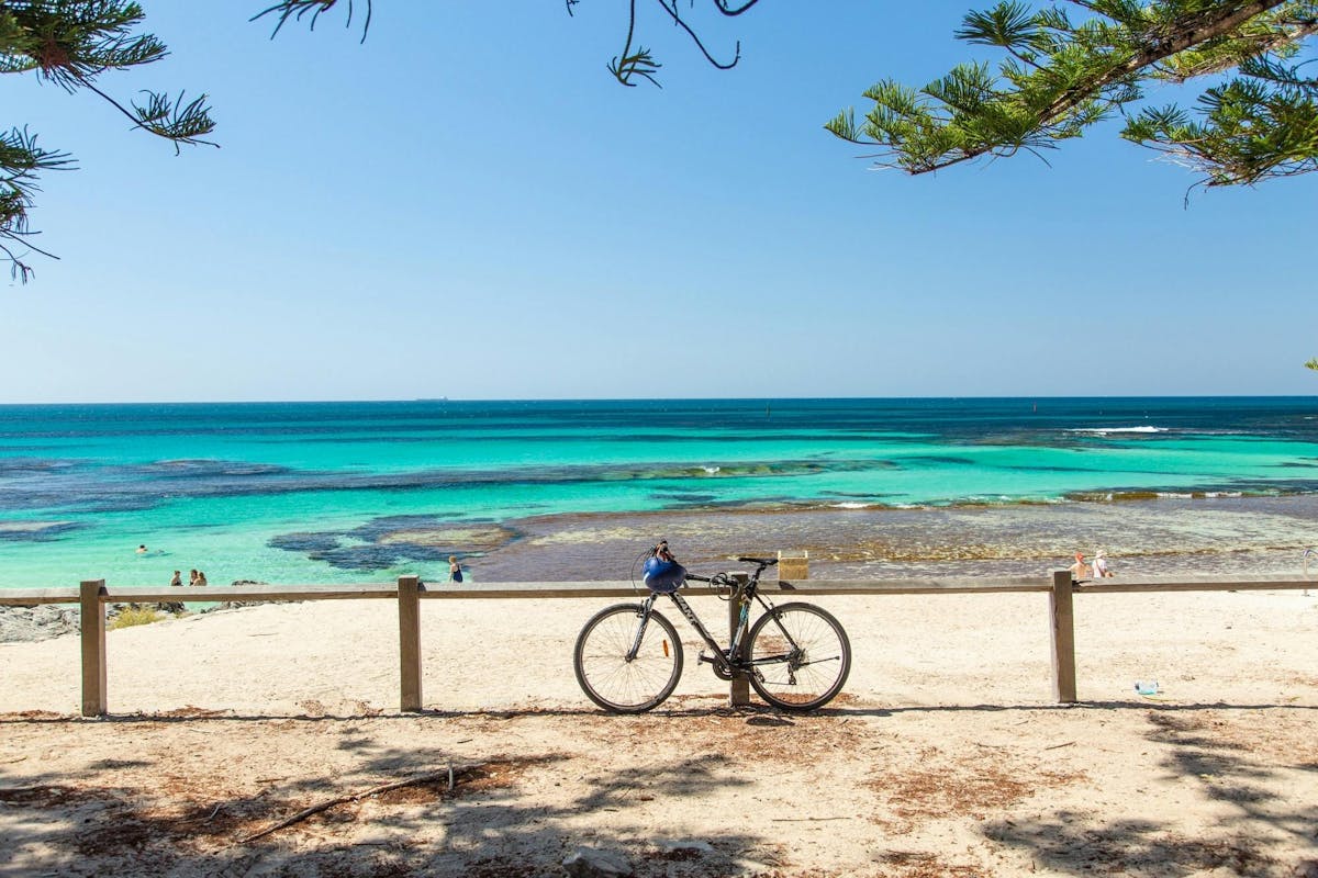 Dagtocht rond Perth met Swan River Cruise en bezoek aan Rottnest Island