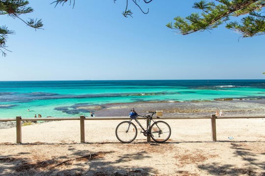 Gita di un giorno a Perth con crociera sul fiume Swan e visita all'isola di Rottnest