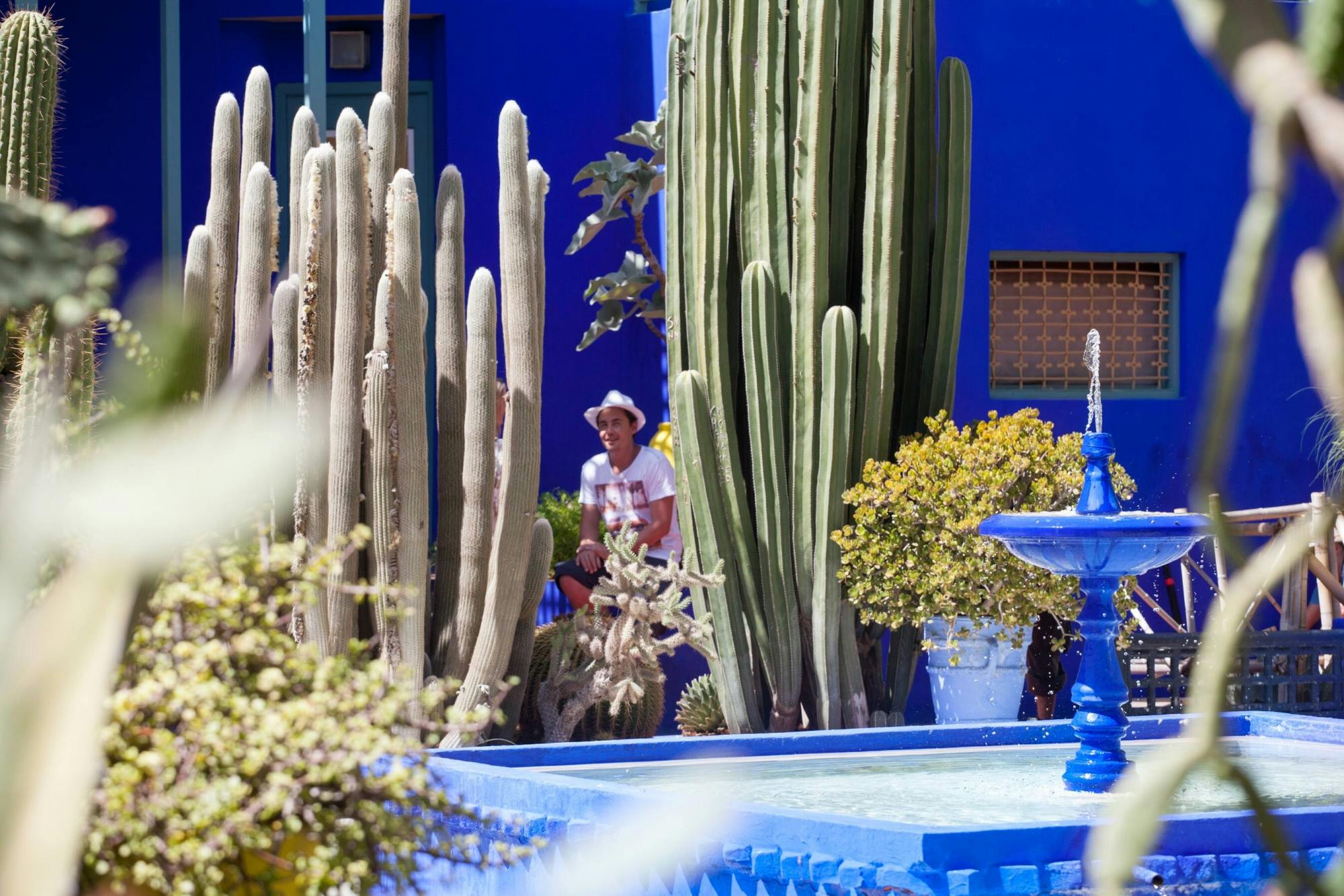 Le jardin Majorelle et les remparts