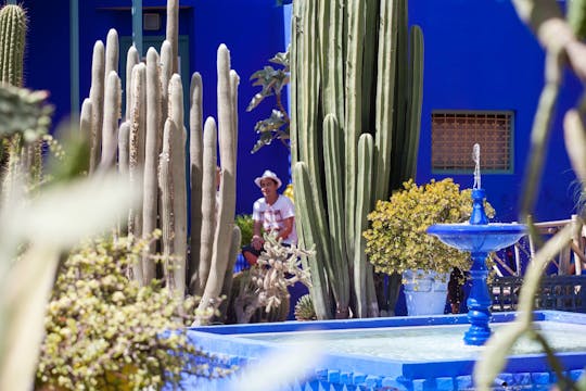 Le jardin Majorelle et les remparts