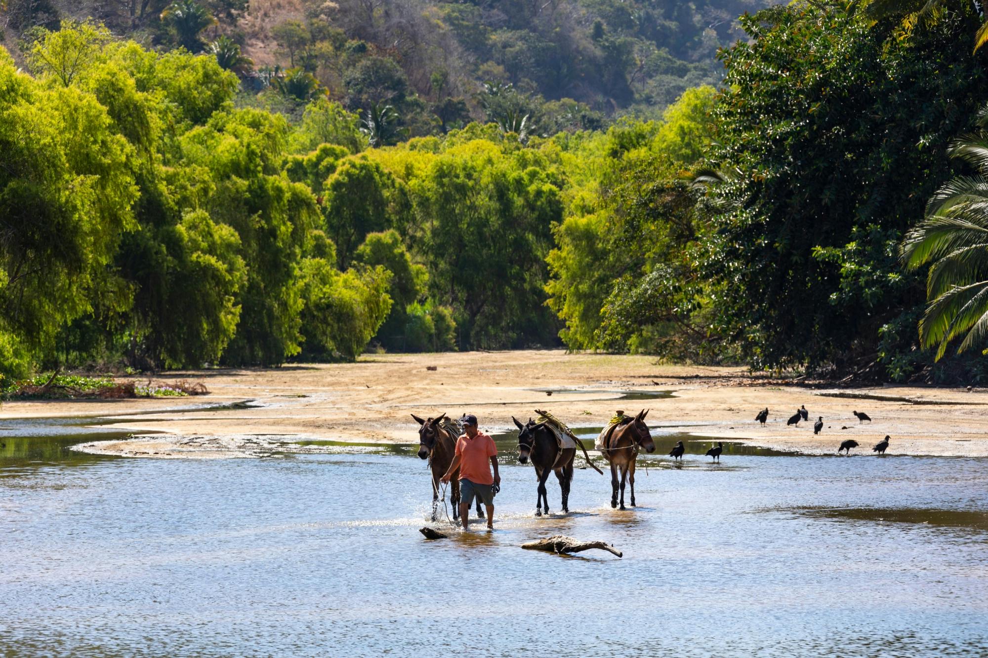 Yelapa & Majahuitas Beach Boat Cruise Ticket