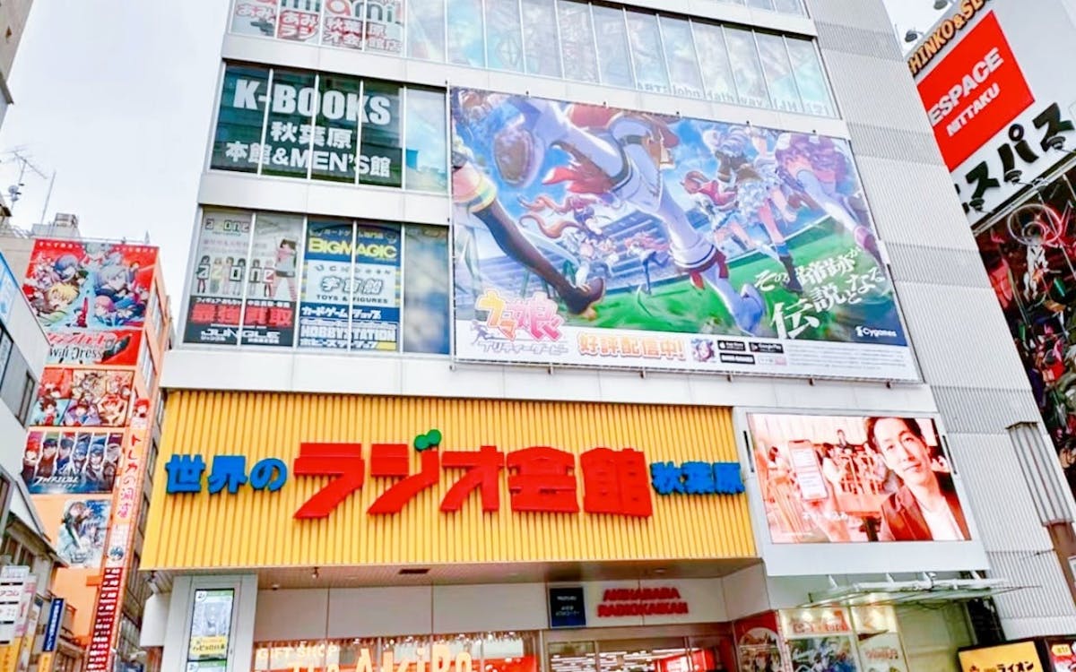 Akihabara Subcultuur en Shibuya Street Kart Tour in Tokio