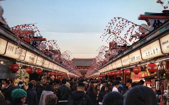 Asakusa Temple and Shibuya Sky Half Day Walking Guided Tour in Tokyo