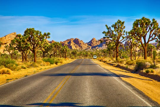 Conducción con audioguía por el Parque Nacional Joshua Tree