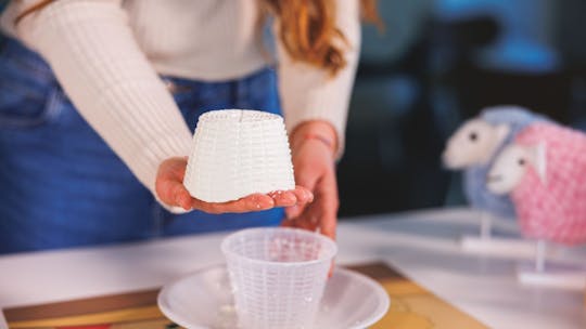 Visite d'une fromagerie locale avec atelier à Dolianova