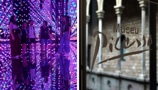 Picasso and Moco Museum guided tour