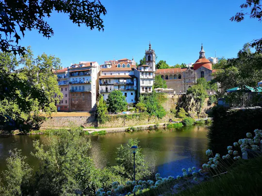 Visita guiada histórica ao Alto Douro Vinhateiro com degustação de vinhos