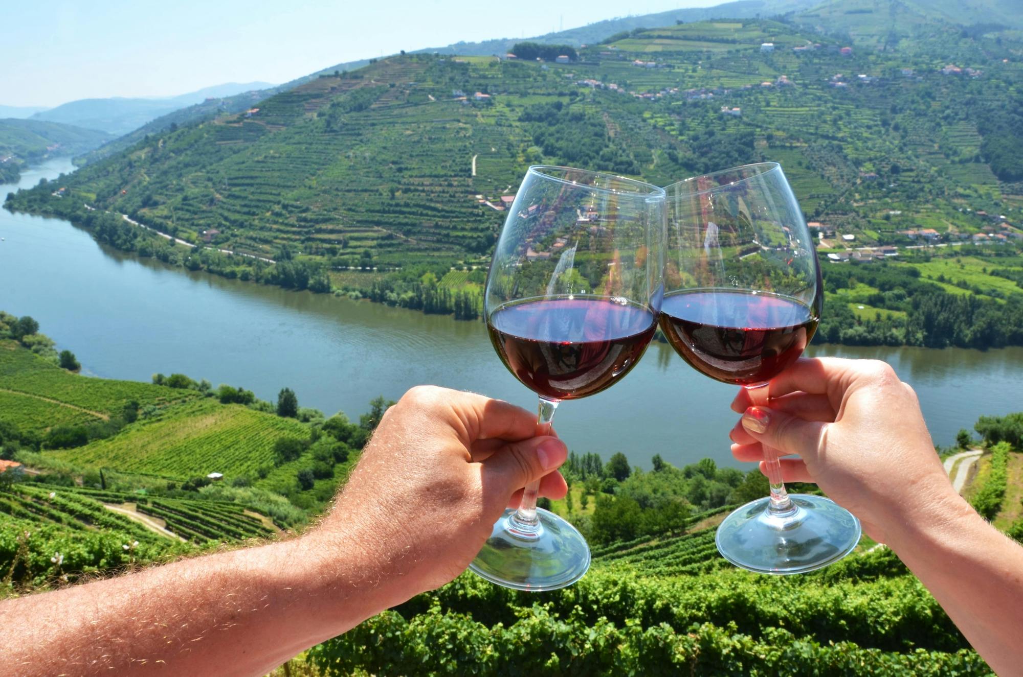 Guided tour of the Douro with river cruise and wine estates' visit