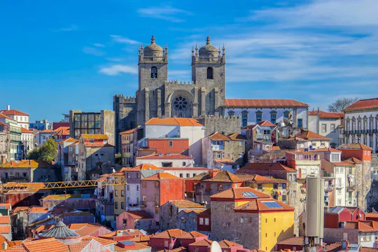 Tour di un giorno intero della vecchia e moderna Porto con crociera e degustazione di vini