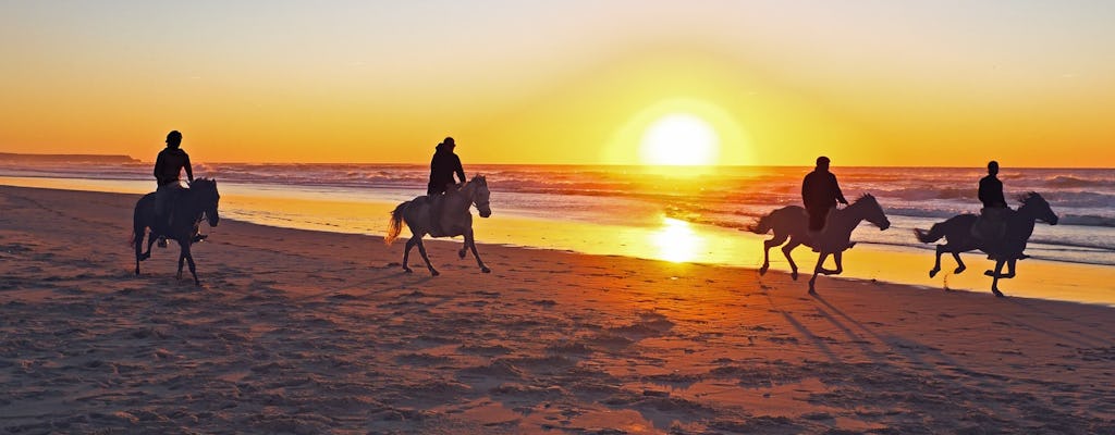 Guided Horseback Riding Experience on Essaouira's Dunes