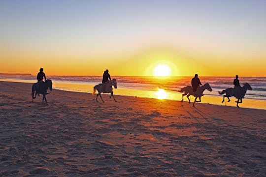 Esperienza di equitazione guidata sulle dune di Essaouira