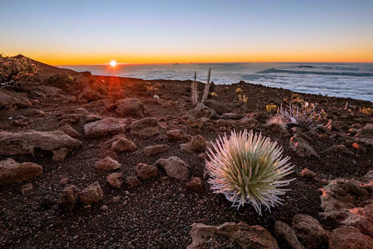 Self-Guided Driving Tour of Haleakalā Volcanic Wonders