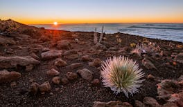 Passeio de carro autoguiado pelas maravilhas vulcânicas de Haleakalā
