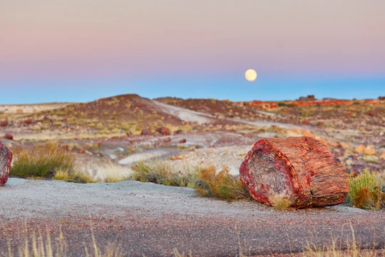 Self-Guided Driving Tour of Petrified Forest National Park