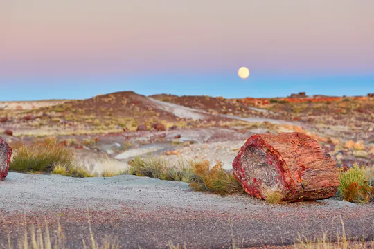 Self-Guided Driving Tour of Petrified Forest National Park
