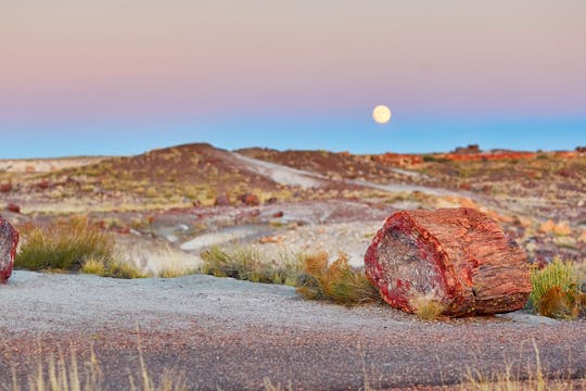 Self-Guided Driving Tour of Petrified Forest National Park