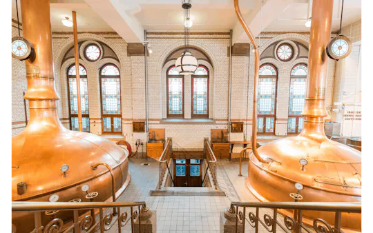 Crucero de 45 minutos por los canales con Heineken, bebidas incluidas y visita a la Heineken Experience