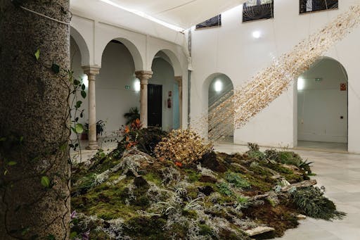 Full-day guided tour of Cordoba and its flower festival