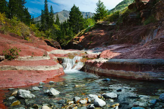 Rijtour met gids door Waterton National Park
