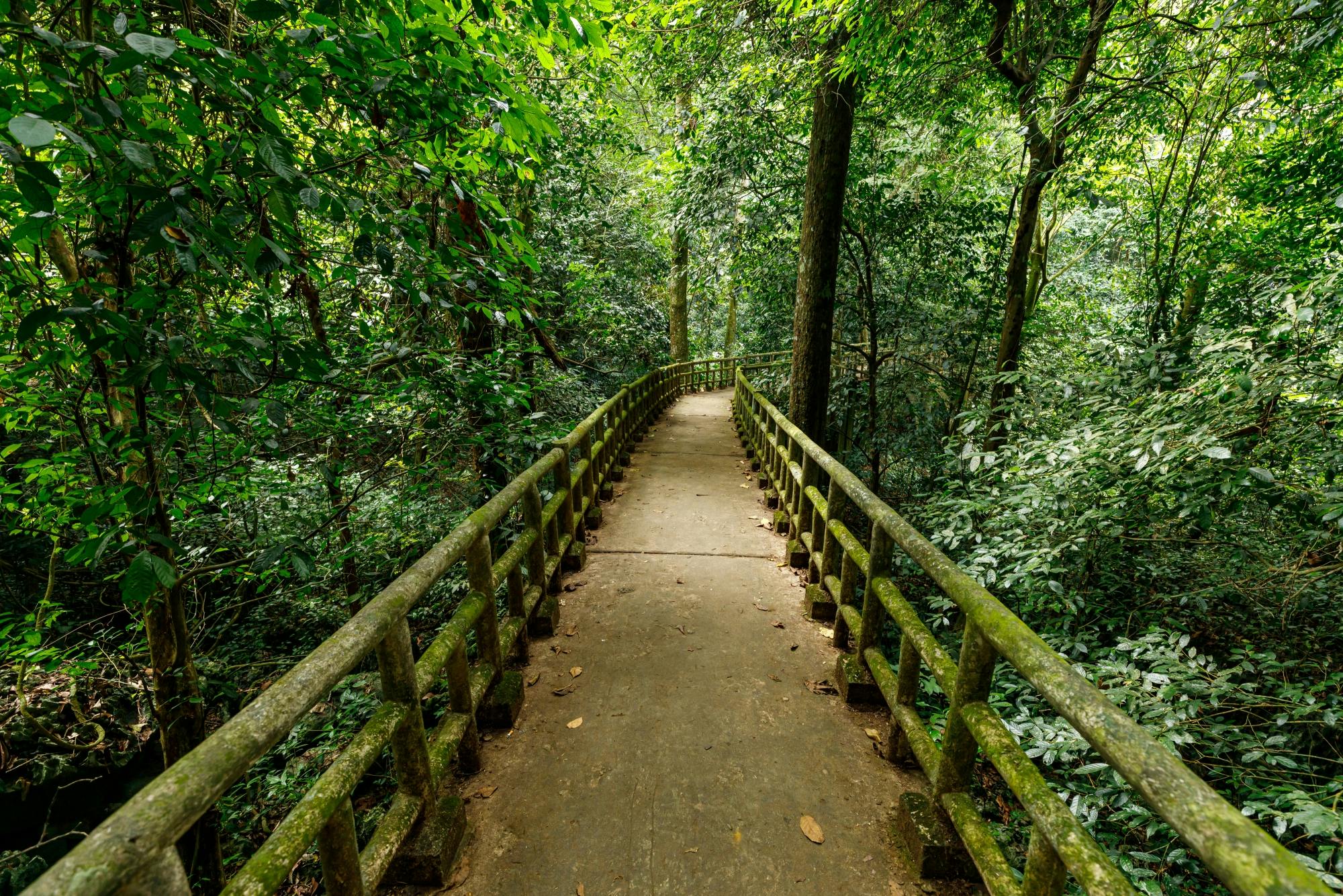 Excursão guiada de dia inteiro ao Parque Nacional Cuc Phuong