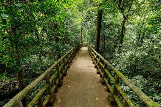 Ganztägige geführte Tour durch den Nationalpark Cuc Phuong