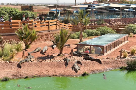 Moroccan Countryside Adventure with Crocoparc and Cooperative Visit