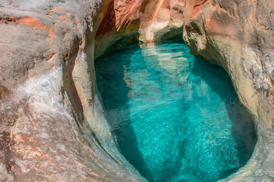 Half-day Excursion to Paradise Valley and Atlas Mountains