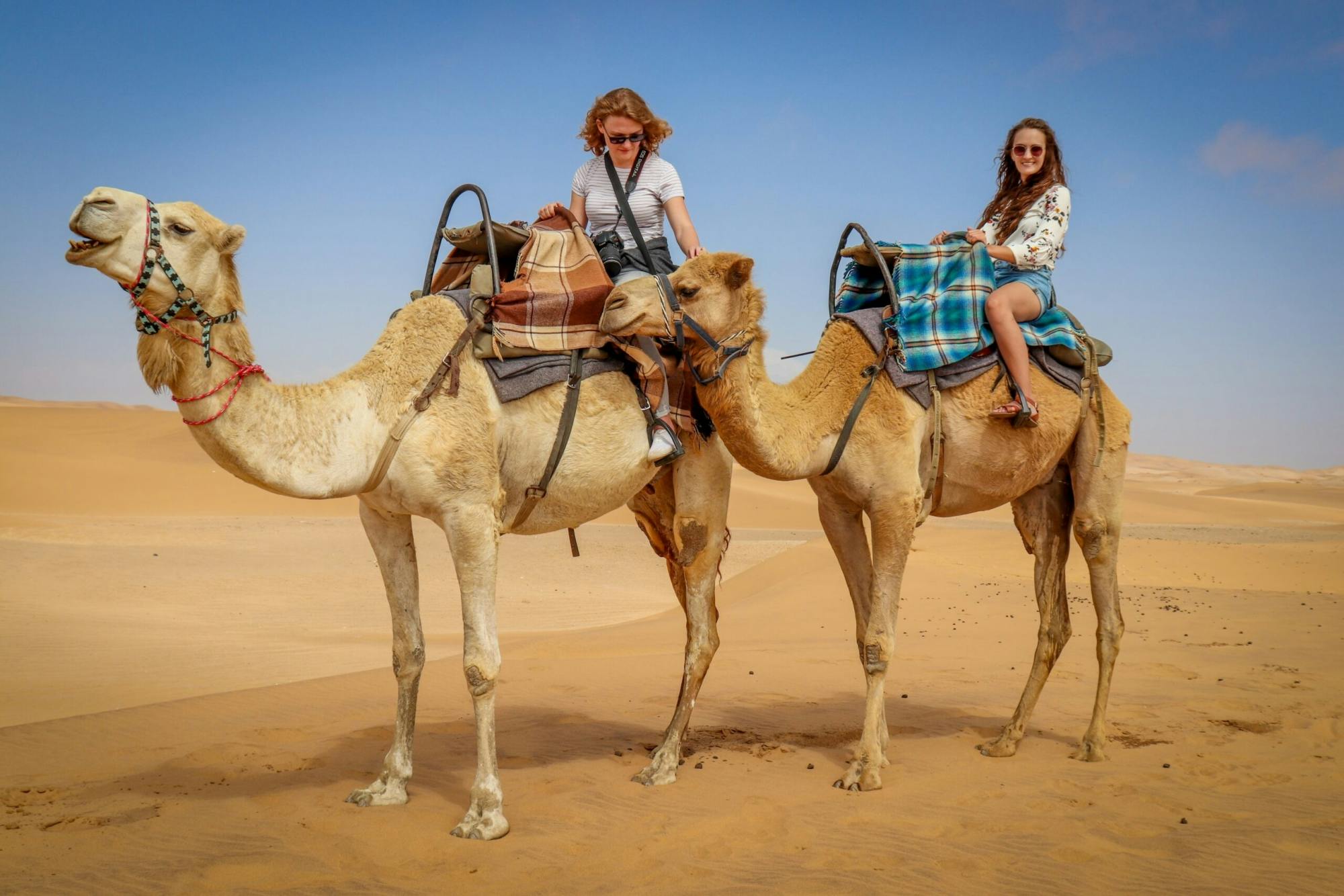 Ganztägiger Ausflug zum Paradise Valley und zu den Sahara-Dünen