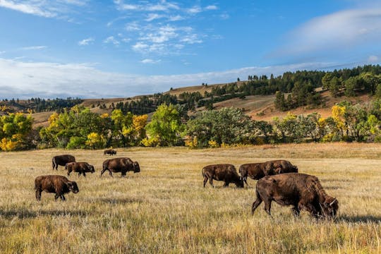 Pacote de excursão de áudio de direção autoguiada para explorar Dakota