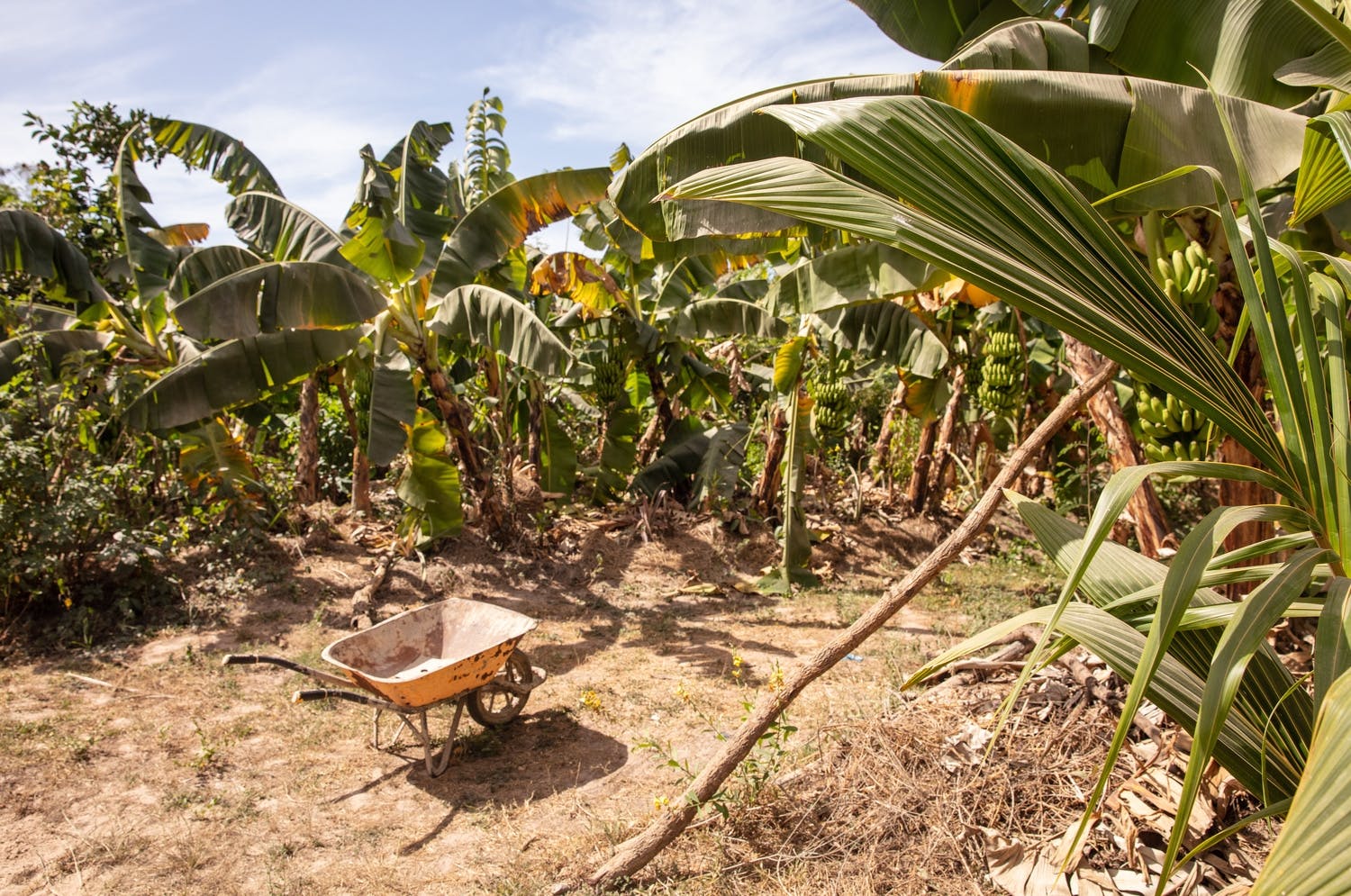 Hele dagtour op een duurzame boerderij vanuit Saly met lunch