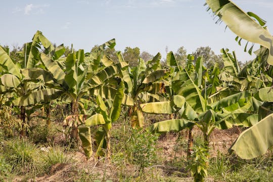 Full Day Tour at a Sustainable Farm from Somone with Lunch