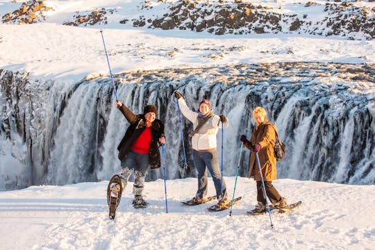 Dettifoss Waterfalls 4x4 Tour from Lake Mývatn