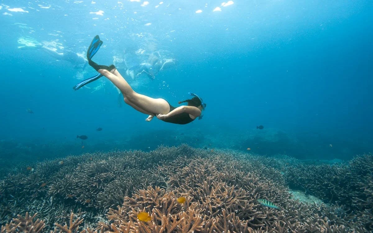 Nusa Lembongan with Manta Bay Snorkelling all-inclusive tour