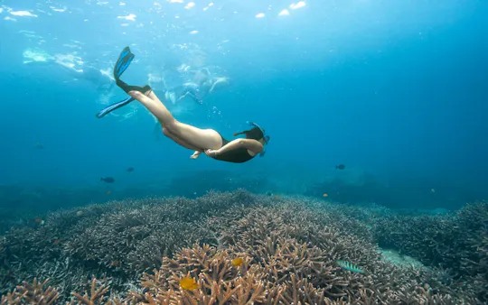 Nusa Lembongan with Manta Bay snorkelling all-inclusive tour