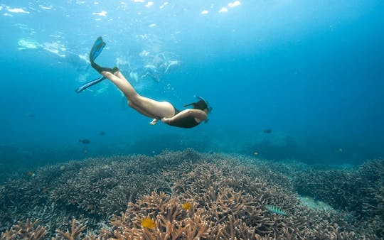 Nusa Lembongan with Manta Bay Snorkelling all-inclusive tour