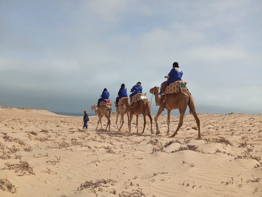 Experiência de passeio de camelo na paisagem desértica de Dakhla