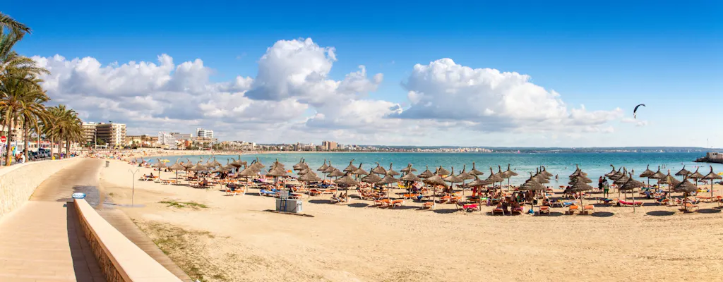 Palma Beach - El Arenal