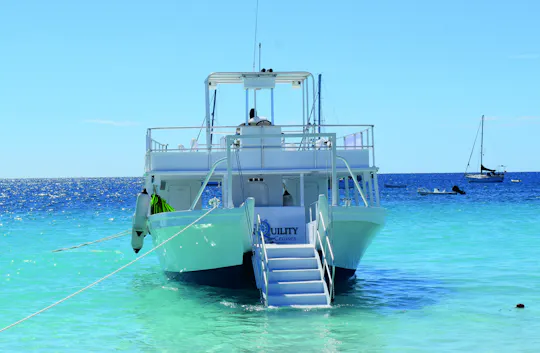 Turtle and Shipwreck Snorkel Adventure in Barbados