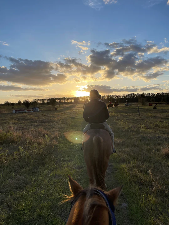 Horseback trail ride in Central Florida