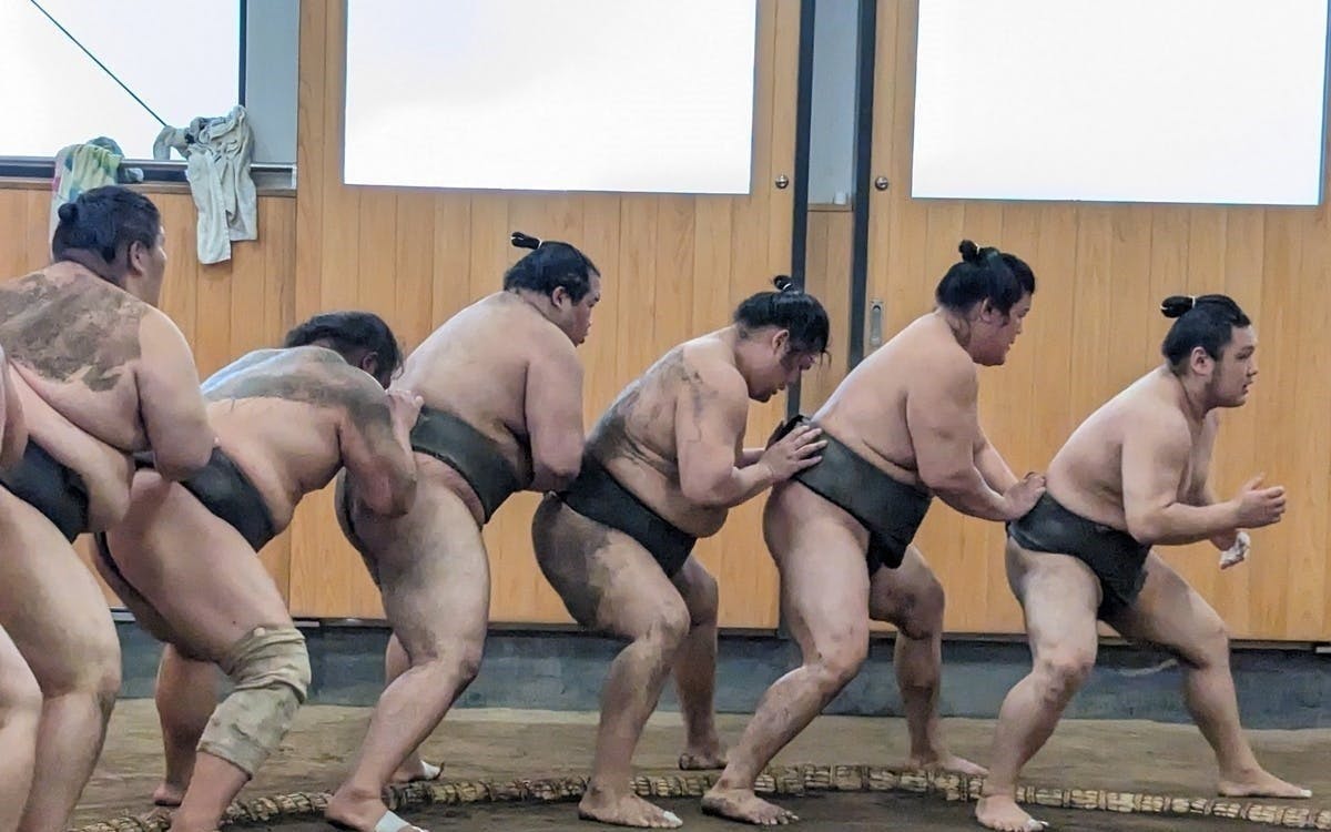 Sumo Tour with Guided Practice Session or Interactive Experience