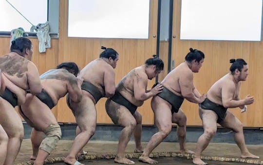 Sumo Tour with Guided Practice Session or Interactive Experience