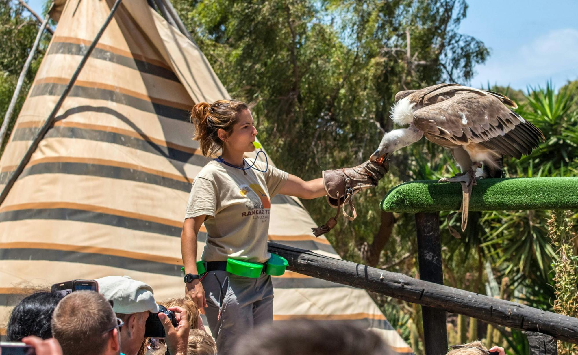 Sea Lion Interaction at Rancho Texas Park with Transfer